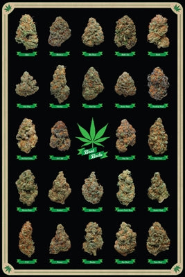 Best Buds - Marijuana