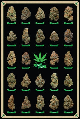 Best Buds - Marijuana