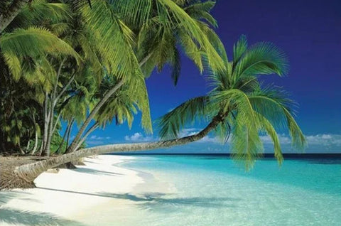 Nature - Maldives Beach Poster
