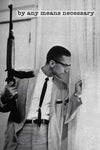 Malcolm X- By Any Means Necessary Regular Poster