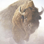 Chief (detail) by Robert Bateman