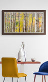 Autumn Woods Framed
