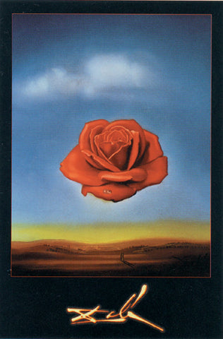 Dali - Rose Meditative - Regular Poster