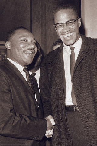 The Meeting - Malcolm & MLK
