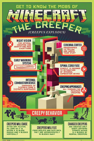 Minecraft - Creepy Behavior
