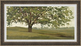 Wisdom Glow Framed