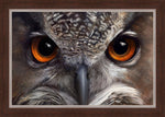 Night Vision - European Eagle Owl by Hilary Mayes