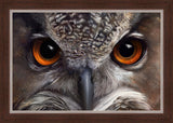 Night Vision - European Eagle Owl by Hilary Mayes