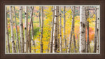 Autumn Woods Framed