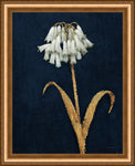 Gold Flowers Framed Set of Two