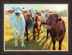 The Bovines by Rita Kirkman Framed