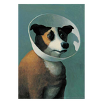Dog with Cone by Michael Sowa