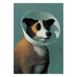 Dog with Cone by Michael Sowa