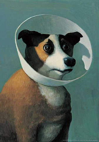 Dog with Cone by Michael Sowa