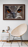 Night Vision - European Eagle Owl by Hilary Mayes