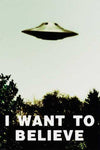 UFO - I Want to Believe Poster