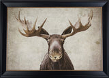 Elmer The Moose Framed