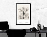 Ansel Adams - Oak Tree, Snowstorm, 1948 - Vintage Poster 24 x 36