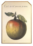 This is not an Apple by Rene Magritte Art Print Paper size is 19.75 x 27.5 inches