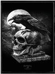 Raven, Edgar Allan Poe’s Raven Skull Print 24 x 36 inches