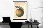 This is not an Apple by Rene Magritte Art Print Paper size is 19.75 x 27.5 inches