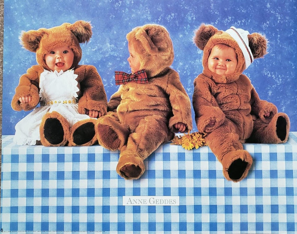 Anne shop geddes bear