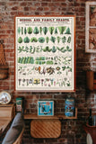 School and Family Charts, No. XIX. Botanical: forms of leaves, stems, roots,and Flowers by Marcius Willson and Norman A. Calkins Poster Only