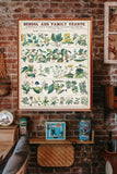 School and Family Charts, No. XXII. botanical: Economical Uses of Plants (c.1890) by Marcius Willson and Norman A. Calkins - Poster Only