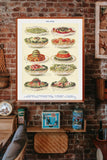Salad Variety Chart from Mrs. Beeton's Book of Household Management Poster Only