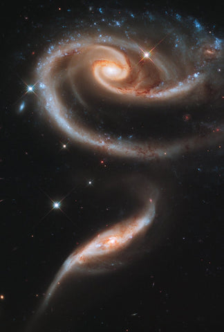 A Rose Made of Galaxies Photo Poster - Andromeda