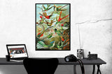 Trochilidae - Hummingbirds by Ernst Haeckel Art Print, Various Sizes