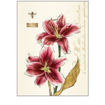 Art Atelier No.1 to 6 - Botanical Print - Set of Six - Vintage Art Prints