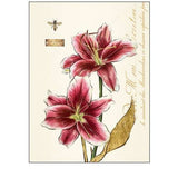 Art Atelier No.1 to 6 - Botanical Print - Set of Six - Vintage Art Prints