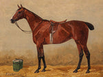 Bay in a Stable by Emil Volkers