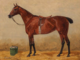 Bay in a Stable by Emil Volkers