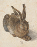 Young Hare by Artist Albrecht Durer