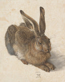 Young Hare by Artist Albrecht Durer