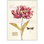 Art Atelier No.1 to 6 - Botanical Print - Set of Six - Vintage Art Prints